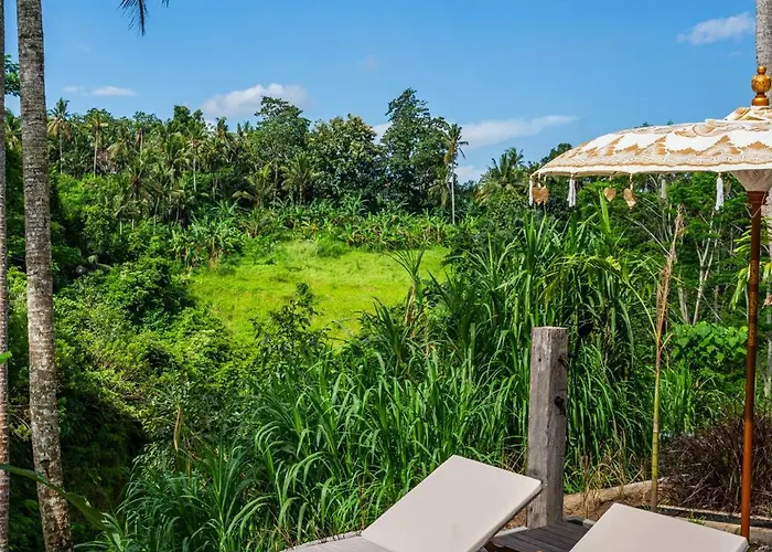 Eveuss Waterfall Retreat 3* Ubud